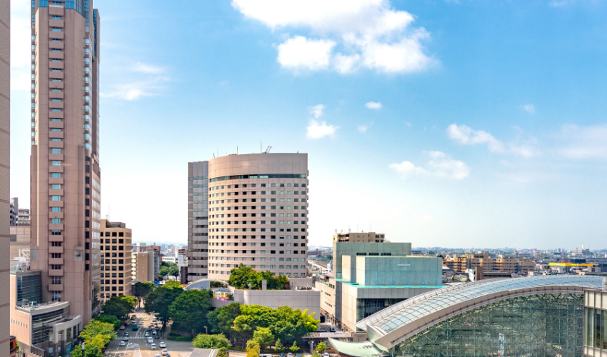 芸術作品の取り扱いに慣れている